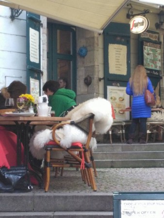 Un café emmitouflé ? by K.